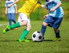 体育平台,资讯,KY体育平台,开云体育,开云体育官网,开云体育app,开云体育平台,KAIYUN,SPORTS,kaiyun登录入口