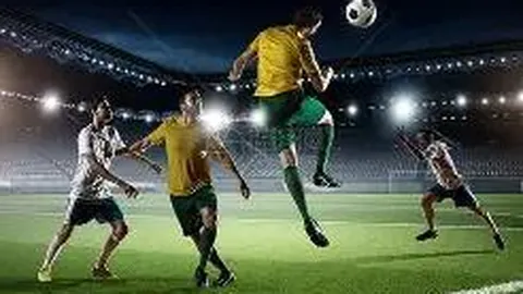 KY体育平台 资讯 091546 ycw