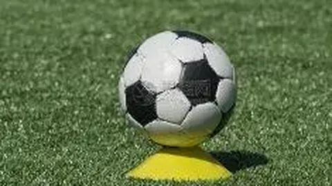 KY体育平台 资讯 085406 87e